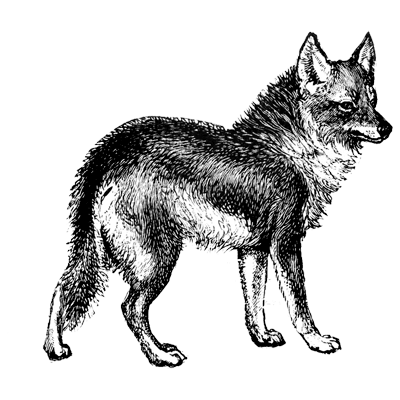 mmzgudvyru profile picture
