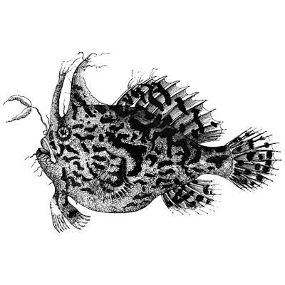 qipjjmptoh profile picture