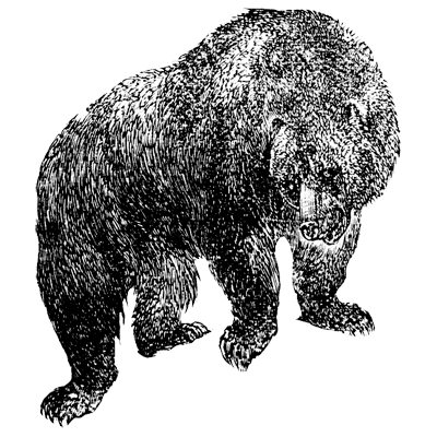 pjwfnlsdzr profile picture