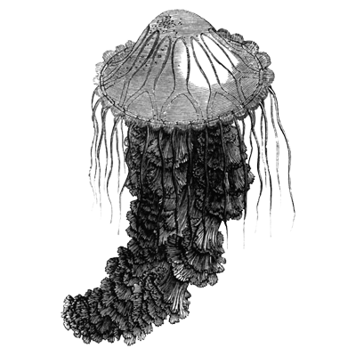 zwmfsdgsmd profile picture