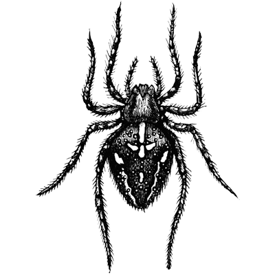 vsszpetlin profile picture
