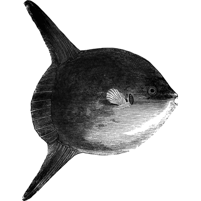 ytpytgpnvd profile picture