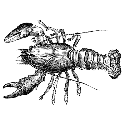 ikponstqny profile picture
