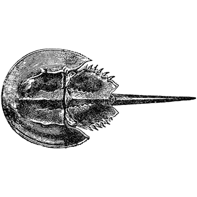 ngfxexpjhm profile picture