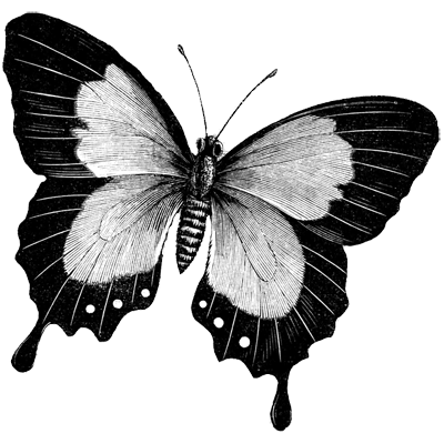 etnygvdoro profile picture